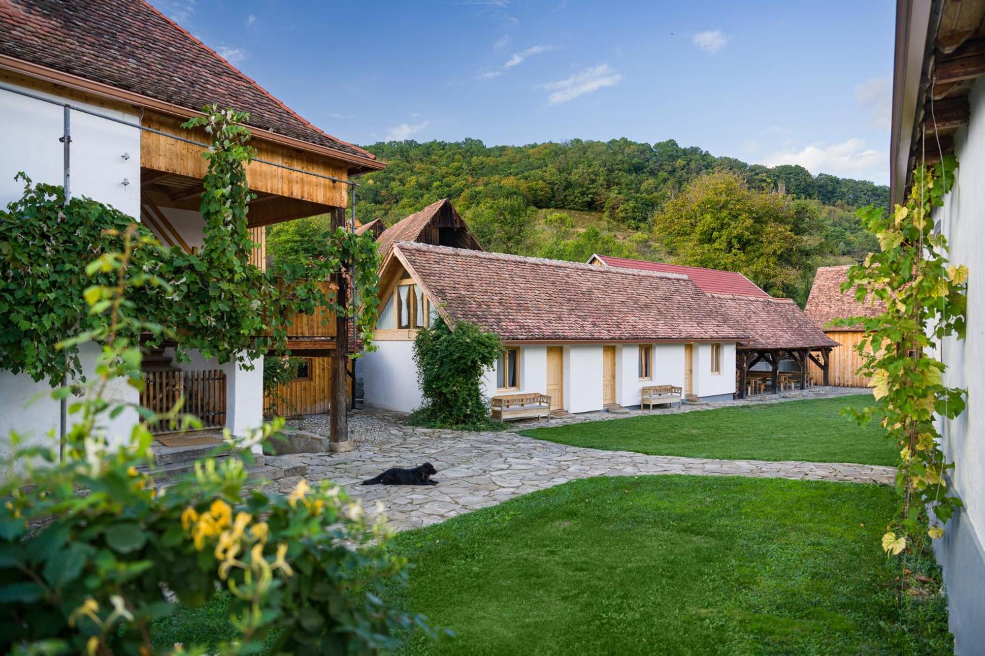 Mesendorf Gasthaus Экстерьер фото